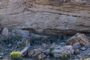 leopard hidden in the rock cliffs