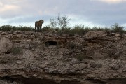 Botshelo on ridge