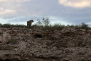 Botshelo on ridge