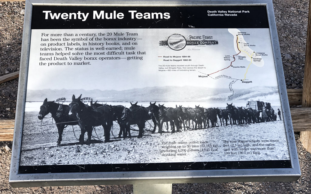 20 Mule Team sign