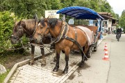 Horse-drawn carriage can be used to go up to the castle