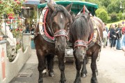 Another horse-drawn carriage