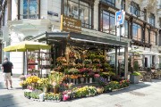 Flower market