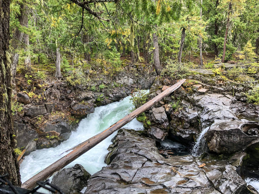 Rouge River Gorge