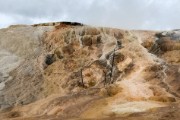 Minerva Terrace at Mammoth Hot Springs