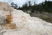 Canary Springs at Mammoth Hot Springs