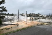 From Upper Terrace Drive at Mammoth Hot Springs road closed so you must walk up