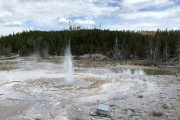 Back Basin at Norris Geyser Basin