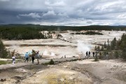 Norris Geyser Basin