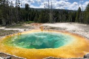 Morning Glory Pool in Upper Gyser Basin