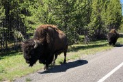 Walking down the road