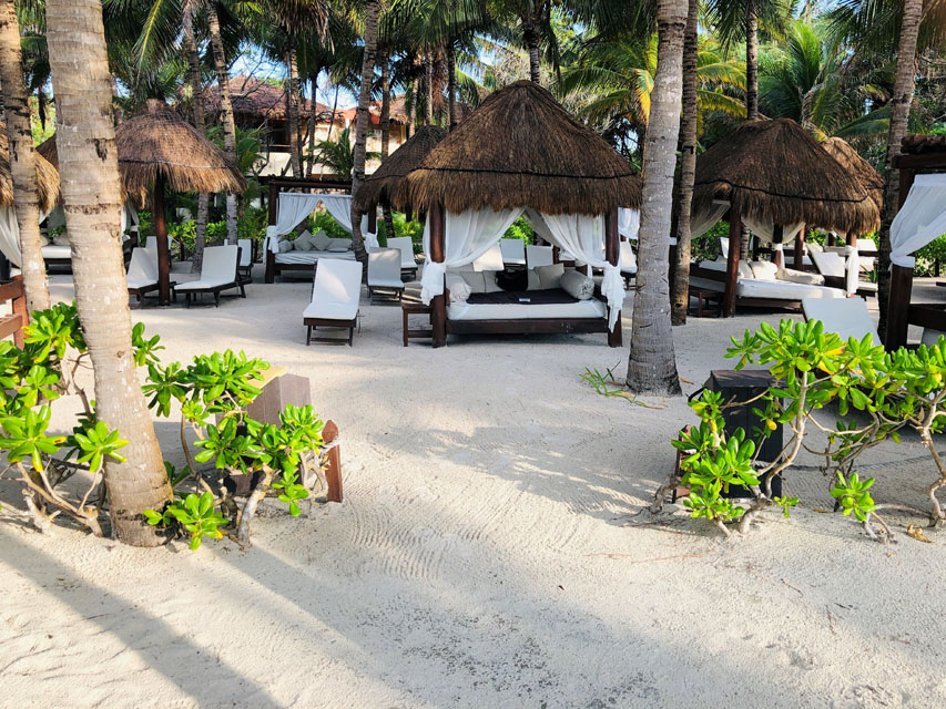 Beach DayBed