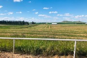 farmland between sculptures