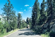 Needles Highway