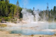 Norris Geyser Basin