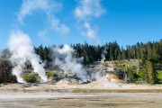 Norris Geyser Basin