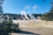 Norris Geyser Basin