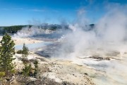 Norris Geyser Basin