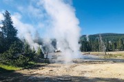 Norris Geyser Basin