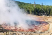 Norris Geyser Basin