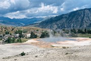 Mammoth Hot Springs