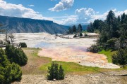 Mammoth Hot Springs