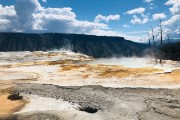 Mammoth Hot Springs