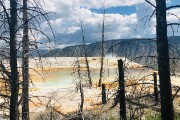 Mammoth Hot Springs