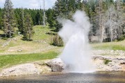 Riverside Geyser