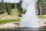 Riverside Geyser