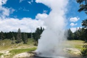 Riverside Geyser