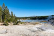 Norris Geyser Basin