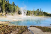 Norris Geyser Basin