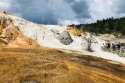 Mammoth Hot Springs