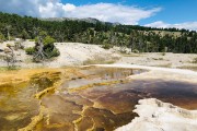 Mammoth Hot Springs