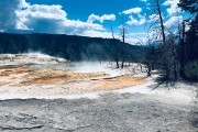 Mammoth Hot Springs