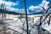 Mammoth Hot Springs