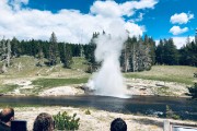 Riverside Geyser