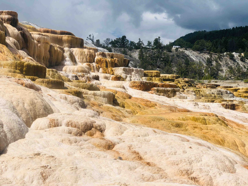 Mammoth Hot Springs