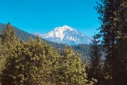 Mt Shasta