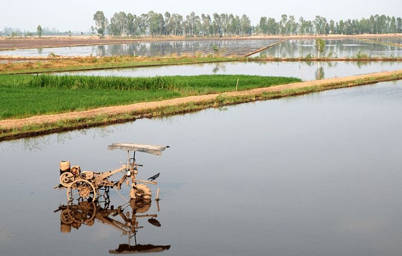 Mekong Delta