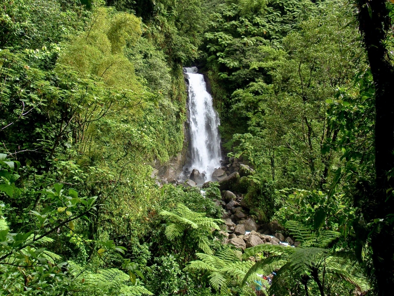 PC080081-35.jpg - waterfalls on Dominica