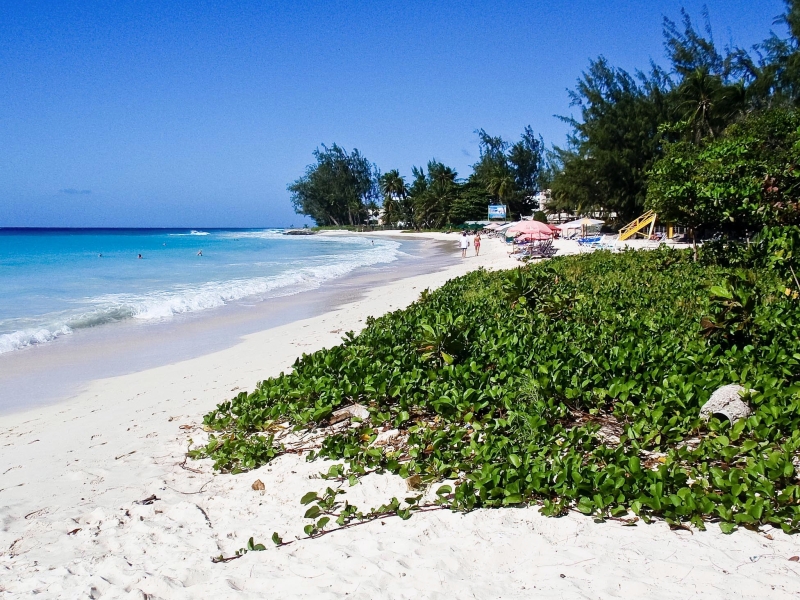PC090097-41.jpg - Rockley Beach in Barbados