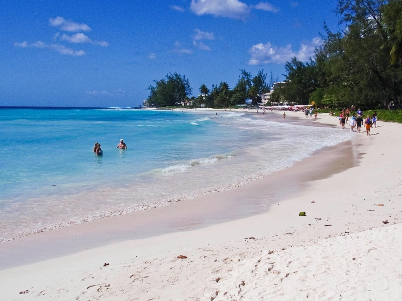 PC090110-44.jpg - Beach in Barbados