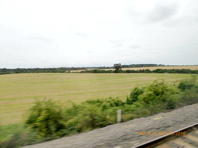 P1000348