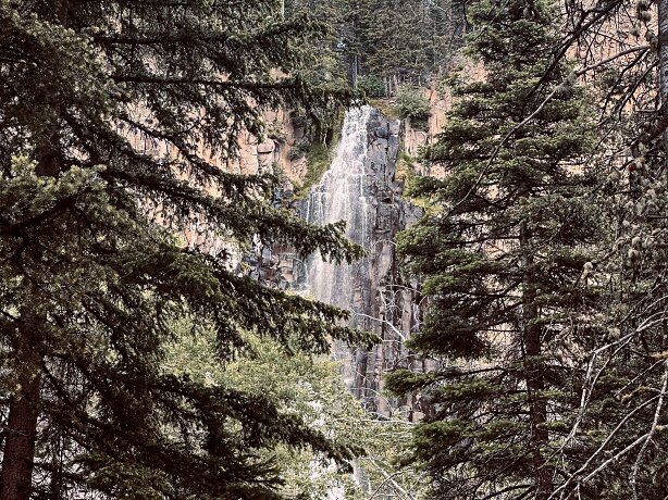 Bozeman, Palisade Falls Hike