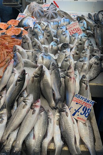 IMG_2108-30 Fish Market