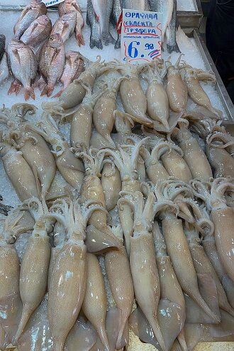 IMG_2109-31 Fish Market