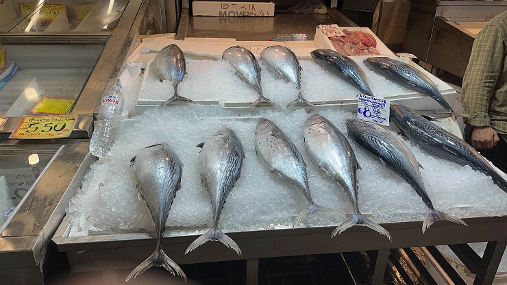 IMG_2112-32 Fish Market