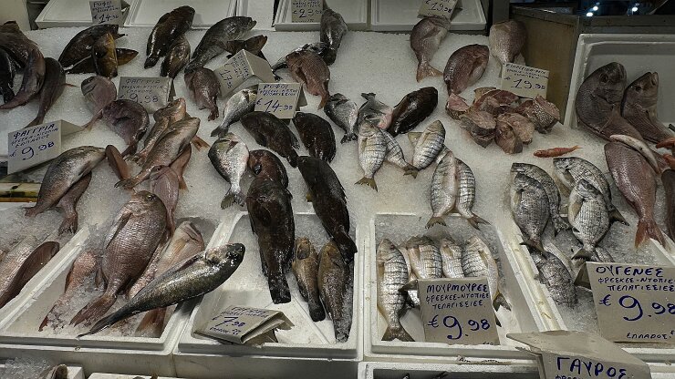 IMG_2113-33 Fish Market